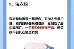 家庭灭鼠最有效的方法，在家里怎么有效灭鼠？