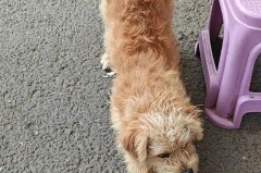 EZ是什么梗，ezr是什么意思？