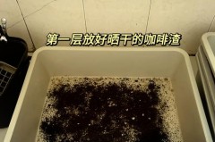 单层猫砂盆怎么用松木，松木猫砂怎么铲？