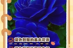 蓝色妖姬是什么梗，蓝色妖姬是什么意思，蓝色妖姬有其他含义吗？