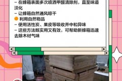 新蜂箱有味道正常吗，新的蜂箱可以直接放蜂进去吗？