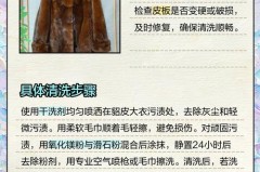 貂皮大衣有油怎么处理_貂皮大衣不小心粘油了怎么办