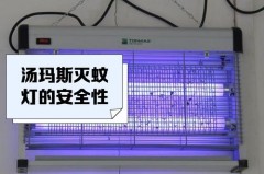 灭蝇灯一般放在店里什么位置，灭蝇灯好不好