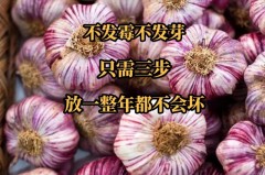 大蒜的保存方法，大蒜的保存方法简易贮藏法