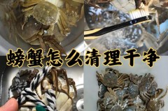 螃蟹怎么清洗最干净?螃蟹的清洗方法_螃蟹怎么清洗呀