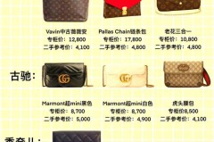 买奢侈品包包是理财吗_买个奢侈品包包很纠结