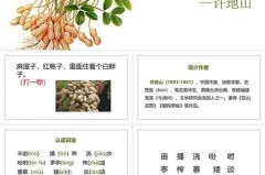 落花生花生的品质是什么，落花生的品质有哪些？