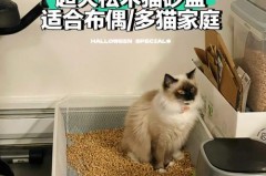 单层猫砂盆怎么用松木_单层猫砂盆可以用松木猫砂吗
