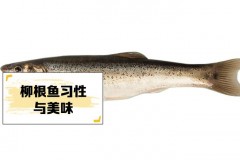 微波炉解冻肉熟了能吃吗_微波炉解冻的肉