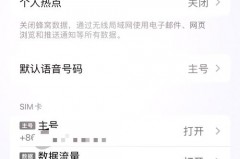 iphone13怎么设置主副号_苹果13手机主号副号怎么切换