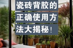 泡水砖不泡水直接刷背胶可以吗，泡水砖用刷背胶吗?？