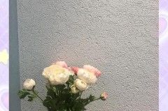 硅藻泥做完几天就可以干透_硅藻泥要几天做好