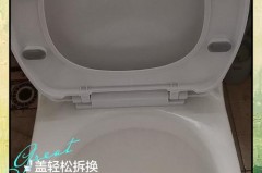 各种马桶盖拆卸图解，toto马桶盖拆卸图解