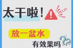 空调放盆水是冬天还是夏天_空调室放盆水有什么用