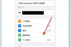 苹果14pro经常没网络正常吗，ios14 4g没网？