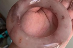 佘太翠原石手镯是什么意思，佘太翠原石手镯图片