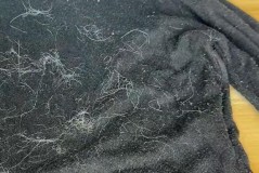 西装粘毛是面料不好吗，西装粘毛了怎么清洗