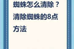 消灭蜘蛛的最佳方法是什么?_怎样消灭蛛蜘
