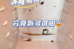 冰箱冷冻层会有细菌吗，冰箱冷冻层会结冰吗