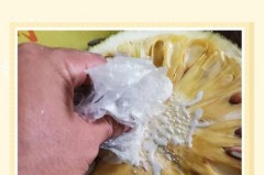 菠萝蜜粘衣服上用什么洗，衣服菠萝蜜粘液怎么洗掉