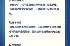 彻底消灭千足虫的方法，彻底消灭千足虫的方法是什么？