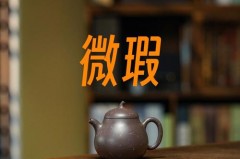 微瑕是什么梗，微瑕是什么意思_微瑕是什么病