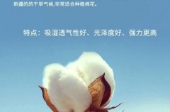 匹马棉是否纯棉，匹马棉属于什么棉？