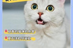 猫砂盆有飞虫怎么办，猫砂盆里有虫怎么回事？