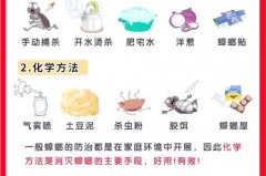 杀蟑饵剂是引诱蟑螂吃吗，杀蟑螂饵剂有毒吗？