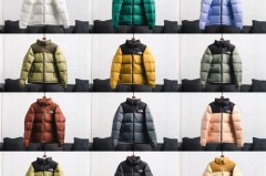 北面羽绒服700经典款多少钱_北面羽绒服700尺码表