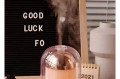 加湿器可以用香水代替精油吗，加湿器可以用香水代替精油吗女生