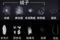 羽绒服充绒量75g能保暖吗，充绒75克的羽绒服暖和么？