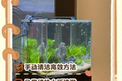 亚克力鱼缸太易脏了怎么清理，亚克力鱼缸是否容易脏