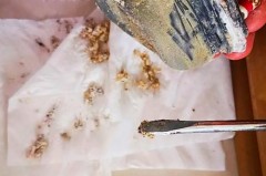 挂烫机剩下的水怎么办，挂烫机用完后水槽有水怎么办