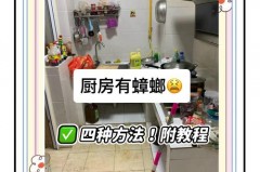 厨房有蟑螂用什么可以祛除_厨房里有蟑螂怎么彻底清除