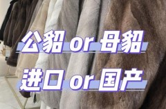 貂绒毛衣好还是羊绒毛衣好，貂绒和羊毛衫的区别？