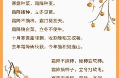 霜降的寓意和象征是什么，霜降的意义与象征_霜降有什么美好寓意