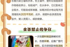 上海新版限塑令什么时候执行_上海 限塑令