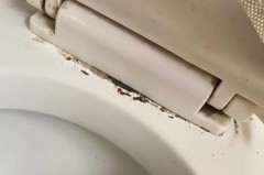 怎样修理马桶盖阻尼器_怎样修理马桶盖阻尼器图解