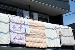 夏天要经常晒被子吗，夏天要晒被子吗?？