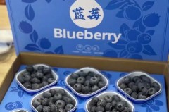 超市的盒装蓝莓可以直接吃吗，超市买的蓝莓怎么吃？