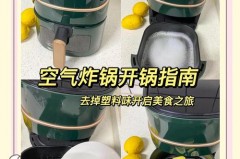 空气炸锅内胆塑料味大怎么办_空气炸锅有股塑料味对身体有害吗