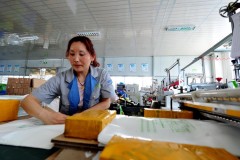 办个小型可降解塑料袋加工厂需要哪些设备_开一个可降解塑料袋生产厂需要投多少钱