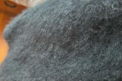 羊羔绒起不起球_羊羔绒的衣服毛不蓬松了