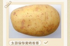 土豆的储存方法，妙招，土豆得储存方法？