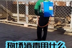 84消毒液是喷雾还是擦拭，84消毒液是喷洒还是擦拭？