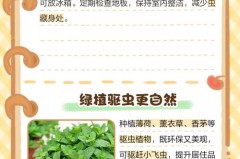 小飞虫怎么消灭最简单的方法_小飞虫怎么消灭最简单的方法没有白醋会用米醋代替吗?