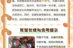 活的青蟹怎么保存方法，活着的青蟹怎么保存