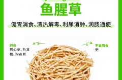鱼腥草为什么被禁用，鱼腥草的作用是什么