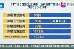 境外输入是什么意思_境外输入是啥